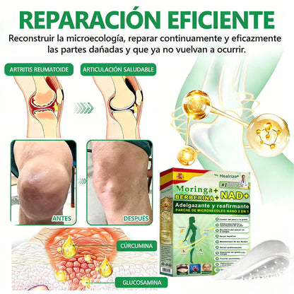 【Oferta por tiempo limitado🎉🎉– Ahorra hasta un 80%】 Healrize® Moringa · Berberina × NAD+ Parche avanzado 10 en 1 con microagujas de alta precisión ✅ 1 caja = 7 parches · Uso recomendado para una semana