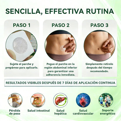 Tienda Oficial ⚡⚡ Healrize® Moringa · Berberina × NAD+Parche Avanzado de Microneedles Nano 10-en-1 — Una vez al día, resultados visibles en 7 días🕛