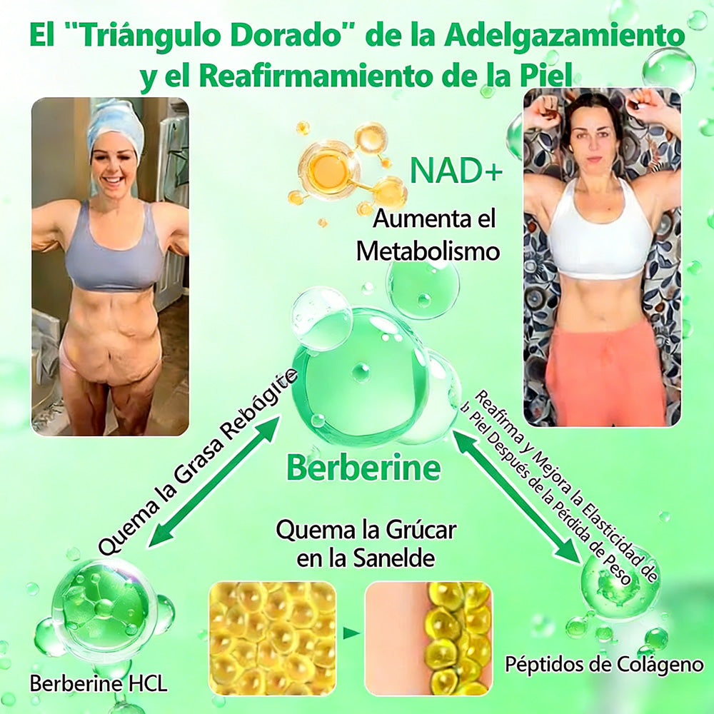【Oferta por tiempo limitado🎉🎉– Ahorra hasta un 80%】 Healrize® Moringa · Berberina × NAD+ Parche avanzado 10 en 1 con microagujas de alta precisión ✅ 1 caja = 7 parches · Uso recomendado para una semana